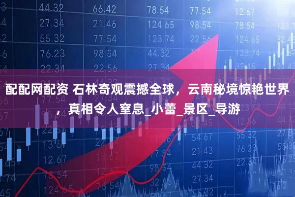 配配网配资 石林奇观震撼全球，云南秘境惊艳世界，真相令人窒息_小蕾_景区_导游