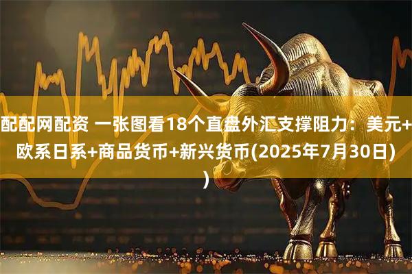 配配网配资 一张图看18个直盘外汇支撑阻力：美元+欧系日系+商品货币+新兴货币(2025年7月30日)