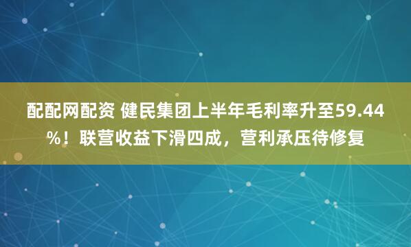 配配网配资 健民集团上半年毛利率升至59.44%！联营收益下滑四成，营利承压待修复